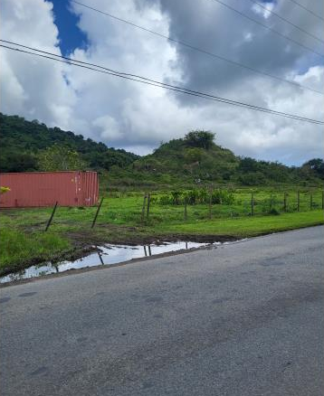 Barrio – Limones, Yabucoa