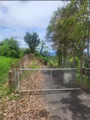 Barrio Jacanas, Yabucoa